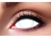 e09_mini_sclera
