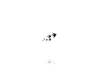 envolee-oiseaux