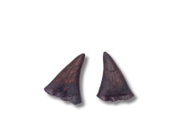 fra_cornes_m_texturees_bordeaux
