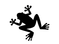 gsb17-s153_frog