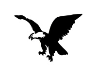 gsb17-s200_sea_eagle