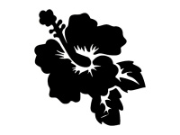gsb17-s216_hibiscus