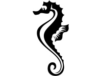 gsb17-s221_seahorse_swirl_381050712