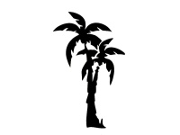 gsb17-s331_palm_tree