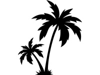 gsb17-s331_palm_tree_1688634079