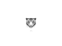 tigre