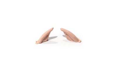 43183_oreilles_elf