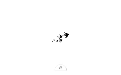 envolee-oiseaux