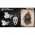 atps-194-skull_flowers2_1024x102