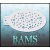 bam1011