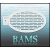 bam1203a