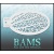 bam1209a