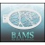 bam1210a