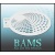 bam1217a