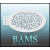 bam1304_low