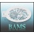bam1306_low