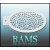 bam1310_low