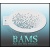 bam1311_low