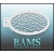 bam1316_low