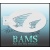 bam1402_low