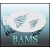 bam1404_low