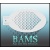 bam1407_low