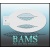bam1409_low