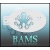 bam1416_low