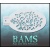 bam_2001