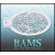 bam_2006