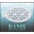 bam_2011