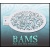 bam_2012