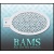 bam_2013