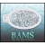 bam_2015