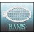bam_2019
