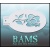 bam_2022