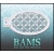 bam_2024
