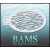 bam_2025