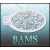 bam_2028