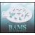 bam_2030