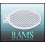 bam_2031
