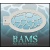 bam_3003