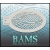 bam_3007