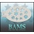 bam_3010