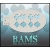 bam_3019