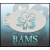 bam_3020