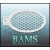 bam_4003