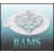 bam_4006