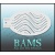 bam_4010