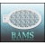 bam_4016
